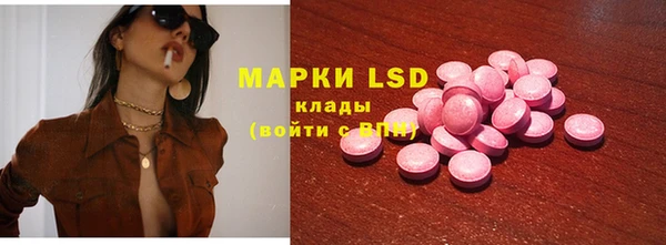 индика Белоозёрский