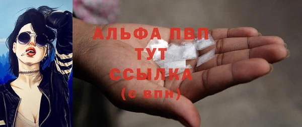 индика Белоозёрский