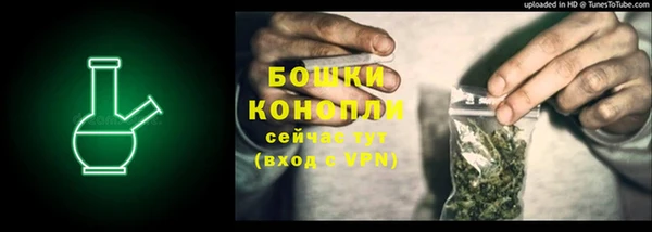 индика Белоозёрский