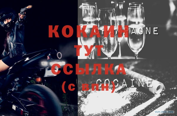 стафф Белокуриха