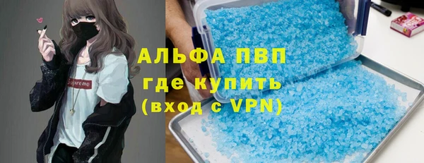 индика Белоозёрский