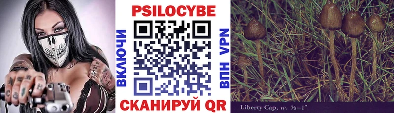 Купить  Тихвин  Псилоцибиновые грибы ЛСД 